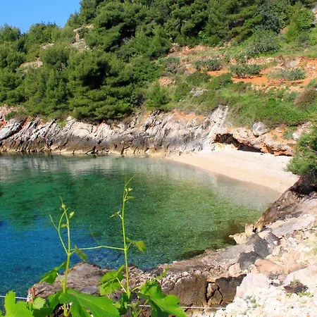 Seaside Secluded Cove Rapak, Hvar - 8766