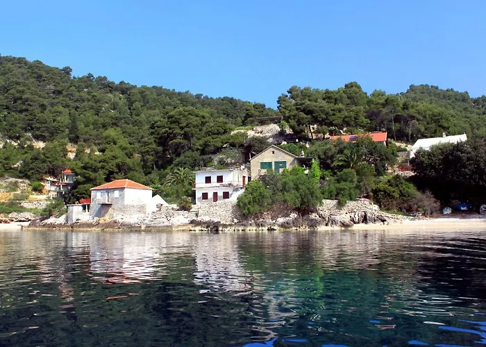 Seaside Secluded Cove Rapak, Hvar - 8766 Apartmán Gdinj