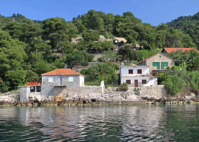 Seaside Secluded Cove Rapak, Hvar - 8766 * Gdinj