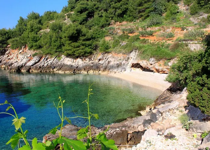 Seaside Secluded Cove Rapak, Hvar - 8766